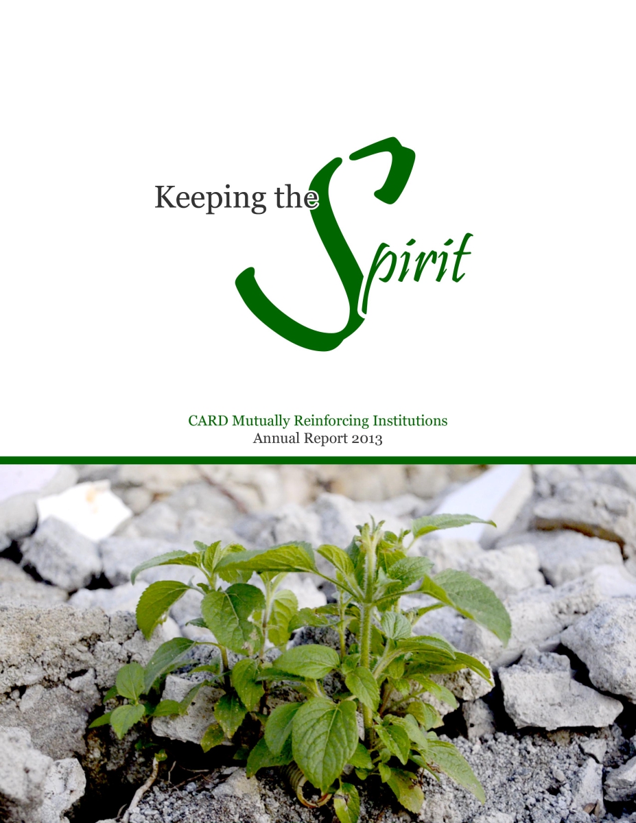 Annual Report 2013